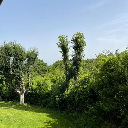 Farm stay L' Aia Del Principe *