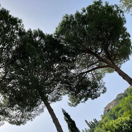 L' Aia Del Principe